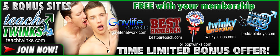 Bonus Sites for TeachTwinks